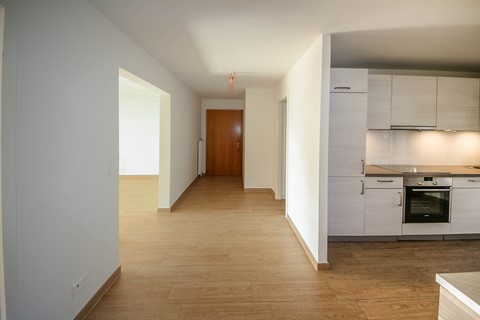 Hall Appartement 3.5 pièces Chexbres