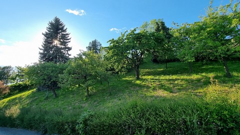 Verger Villa Montreux