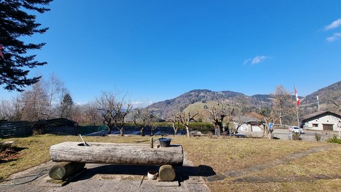Jardin