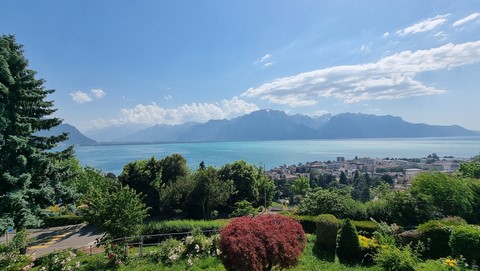 Vue Panoramique