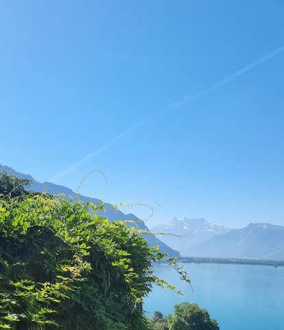 Attique Territet Vue Dents-des-Midi