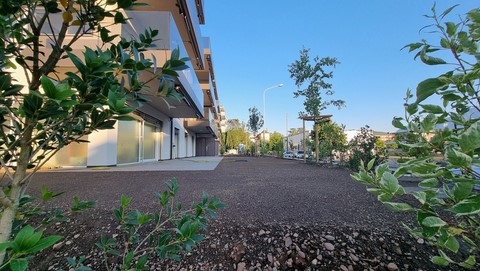 Immeuble Terrasse Jardin